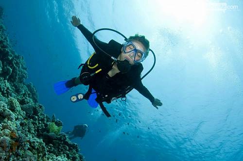    (Professional Buoyancy Diver NDL)  - Vextreme.