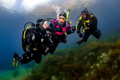 Курс сухого костюма Dry Suit Diver NDL от интернет-магазина Vextreme.