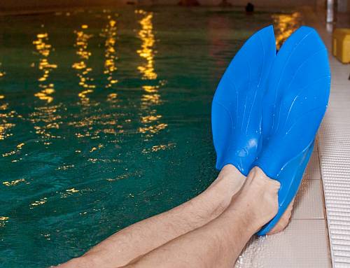Фото Ласты тренировочные для бассейна Aqua Sphere Alpha 2020 от интернет-магазина Vextreme.