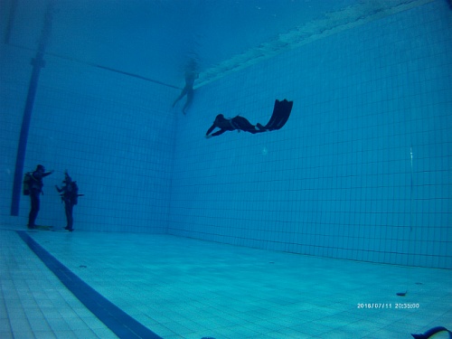      (NDL Free Diver Level I)  - Vextreme.