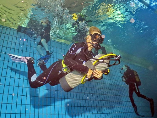     (Professional Buoyancy Diver NDL)  - Vextreme.